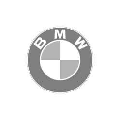 BMW Logo