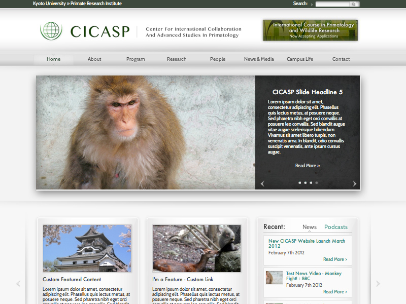 CICASP Top page sliders and carousels